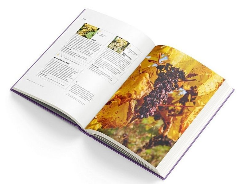 Wines of Ukraine. The Untold Story 731-1079-1230 фото